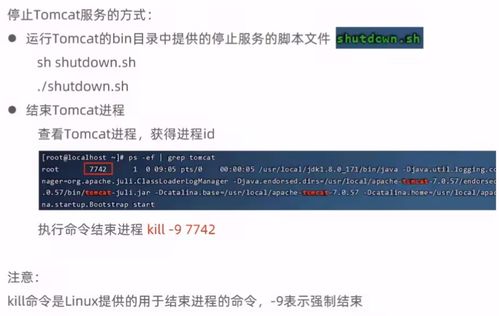 華為云云耀云服務器l實例評測 瑞吉外賣下載與部署及項目策劃與公關服務